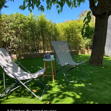 Maison A 20 Metres De La - Piscine Linguizzetta