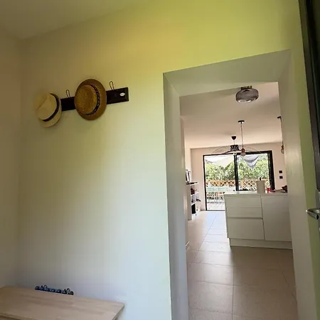 Maison A 20 Metres De La - Piscine Linguizzetta